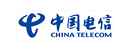 China Telecom Global