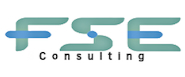 FSE Consulting